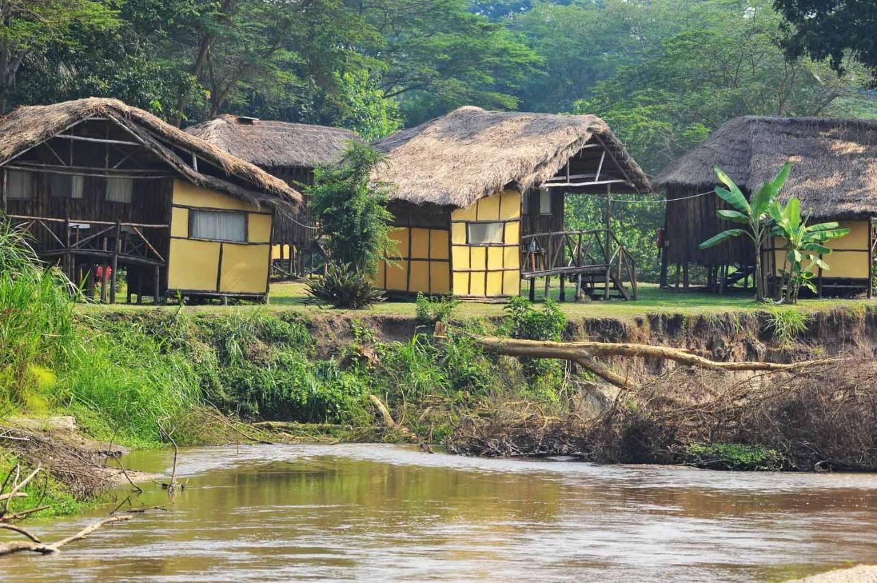 Bullbush River Camp Kihihi Dış mekan fotoğraf