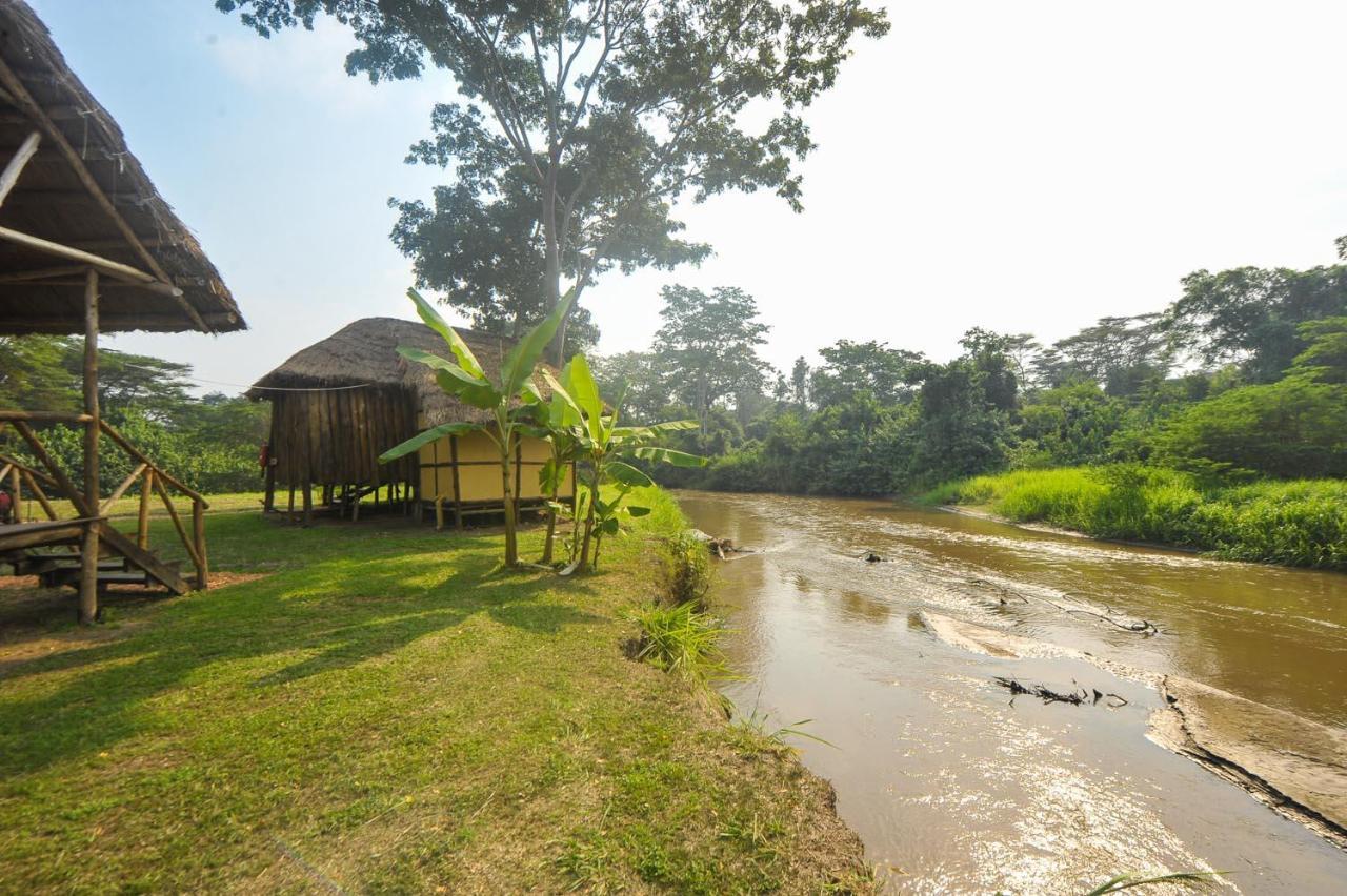 Bullbush River Camp Kihihi Dış mekan fotoğraf