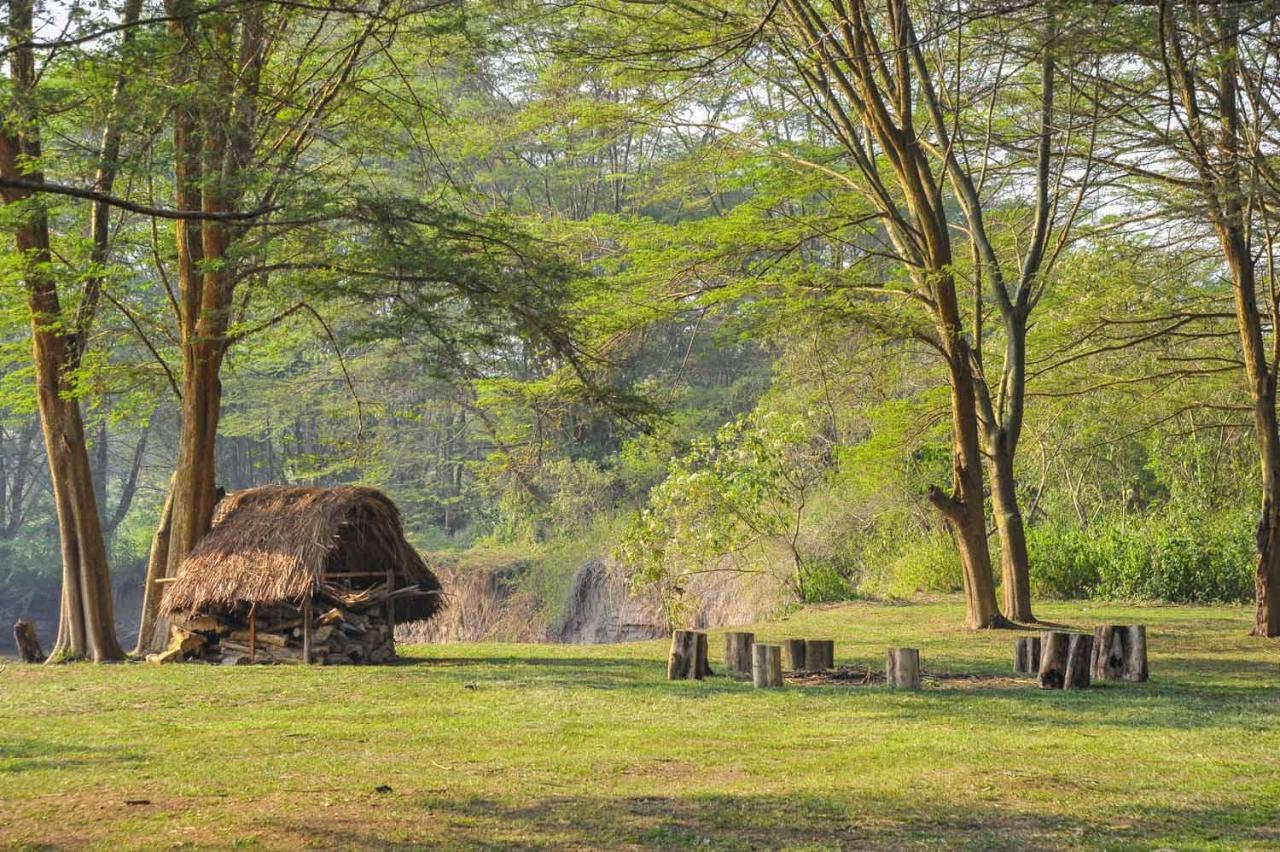 Bullbush River Camp Kihihi Dış mekan fotoğraf
