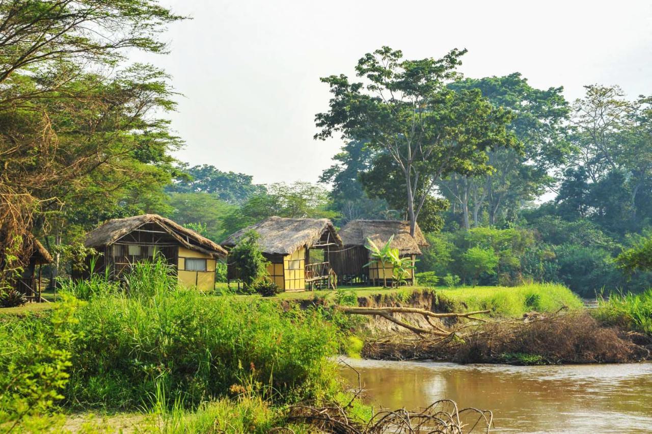 Bullbush River Camp Kihihi Dış mekan fotoğraf