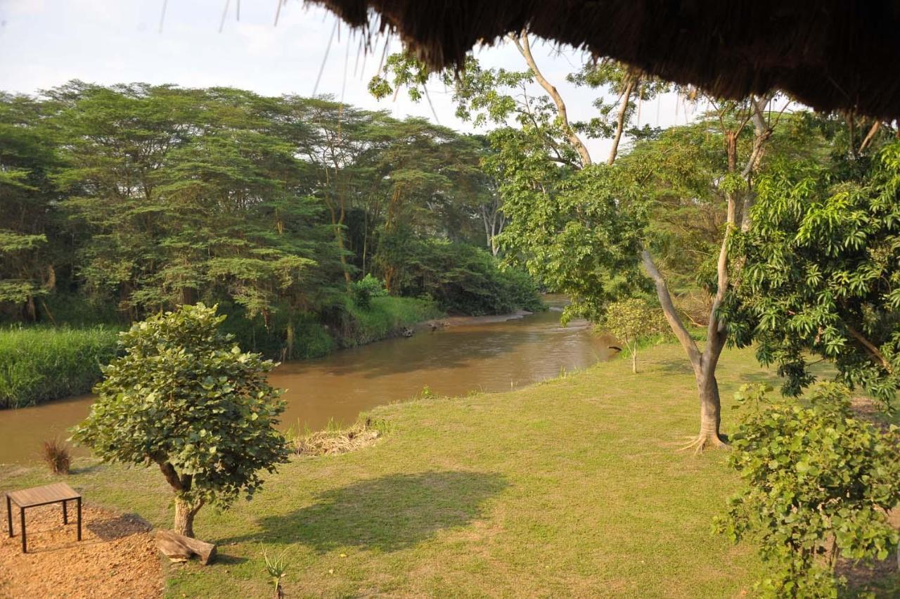 Bullbush River Camp Kihihi Dış mekan fotoğraf